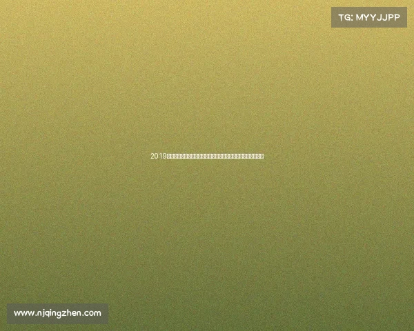 2019年武汉世界军人运动会纪实国际友谊与军事体育精神的光辉展现